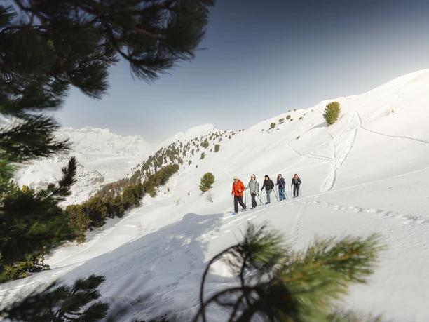 Visite guidée de la forêt d'Aletsch de l'UNESCO Cinq personnes en randonnée à raquettes UNESCO Forêt d'Aletsch profitent de la journée d'hiver entre Hohfluh et Riederfurka avec un panorama de montagnes