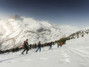 Randonnée en raquettes dans la forêt d'Aletsch Gruppe auf Schneeschuhtour UNESCO Aletschwald mit Blick auf die verschneiten Walliser Alpen und tiefes WinterpanoramaGroup on a snowshoe tour UNESCO Aletsch Forest with a view of the snow-covered Valais Alps and deep winter panoramaGroupe en randonnée en raquettes à neige UNESCO Forêt d'Aletsch avec vue sur les Alpes valaisannes enneigées et un profond panorama hivernal