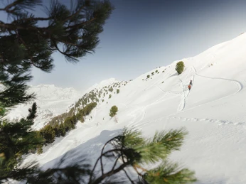 Sentier en raquettes à travers la forêt d'Aletsch Kleine Gruppe auf Schneeschuhtour UNESCO Aletschwald folgt Spuren durch verschneiten Bergwald mit Panorama auf AletschgletscherSmall group on a snowshoe tour UNESCO Aletsch Forest follows tracks through snow-covered mountain forest with panoramic views of the Aletsch GlacierPetit groupe en randonnée en raquettes à neige UNESCO Forêt d'Aletsch suit des traces à travers la forêt de montagne enneigée avec panorama sur le glacier d'Aletsch