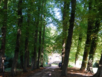 Fikensolt1.JPG Das Bild zeigt ein historisches Anwesen mit einer eleganten Fassade, die von üppigem Grün umrahmt wird. Eine hölzerne Brücke führt über einen kleinen Graben zum Eingang des Gebäudes, dessen Treppe zur Haustür aus dunklem Stein besteht.