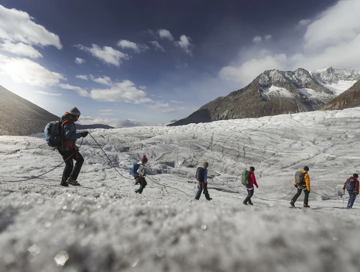 Guided group on the Aletsch Glacier Eine Seilschaft von Personen wandert über das Eis des Aletschgletschers während der Gletschertour Jungfraujoch MärjelenseeA rope team of people hike across the ice of the Aletsch Glacier during the Jungfraujoch Märjelensee glacier tourUne cordée de personnes marche sur la glace du glacier d'Aletsch lors de la randonnée glaciaire Jungfraujoch Märjelensee