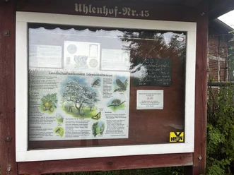 Streuobstwiese.jpg