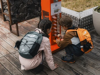 Sommer Gletschi-Tour in der Aletsch Arena Sommer Gletschi-Tour in der Aletsch Arena