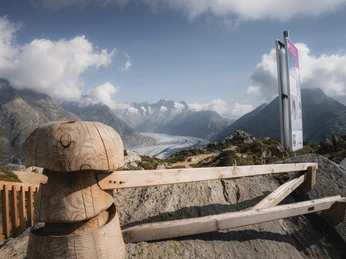 Sommer Gletschi-Tour in der Aletsch Arena Sommer Gletschi-Tour in der Aletsch Arena