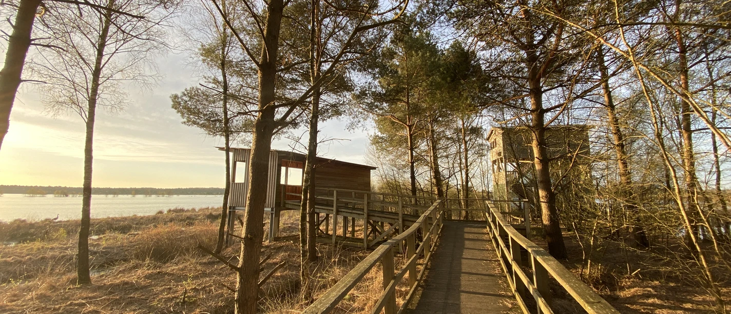 Die Moortürme im Tister Bauernmoor Die Moortürme im Tister Bauernmoor
