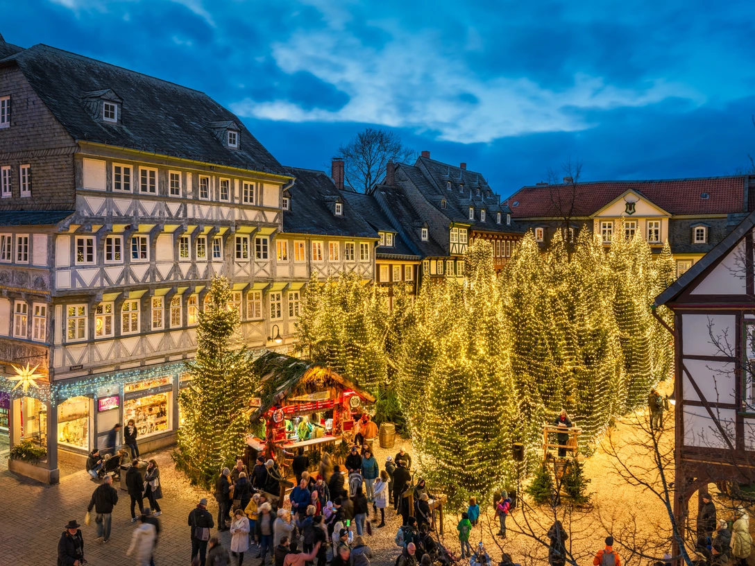 Goslarer Weihnachtswald Goslarer WeihnachtswaldGoslar Christmas ForestGoslar juleskovGoslar Kerstbos