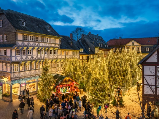 Goslarer Weihnachtswald Goslarer WeihnachtswaldGoslar Christmas ForestGoslar juleskovGoslar Kerstbos