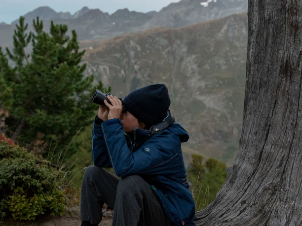 Youngsters observing wildlife in the Aletsch Forest Boy sitting with binoculars on a tree trunk during a wildlife observation Aletsch Pro Natura early in the morning