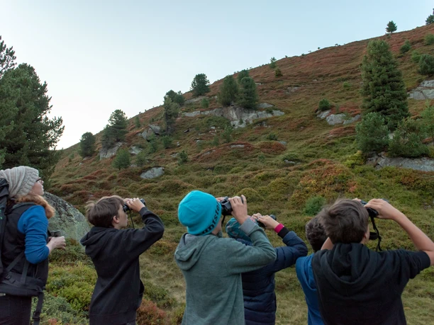 Children with binoculars observing wildlife Group of children observing wild animals with binoculars in the Aletsch Forest during a wildlife observation Aletsch Pro Natura