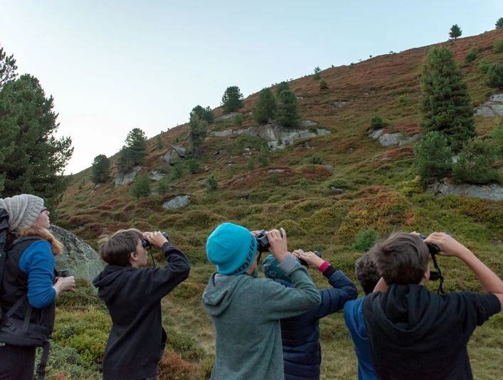 Des enfants avec des jumelles pour observer le gibier Gruppe von Kindern beobachtet Wildtiere mit Ferngläsern im Aletschwald bei einer Wildbeobachtung Aletsch Pro NaturaGroup of children observing wild animals with binoculars in the Aletsch Forest during a wildlife observation Aletsch Pro NaturaGroupe d'enfants observant des animaux sauvages avec des jumelles dans la forêt d'Aletsch lors d'une observation de la faune Aletsch Pro Natura