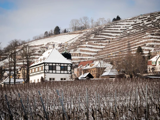 Weingut Hoflößnitz im Winter.jpg