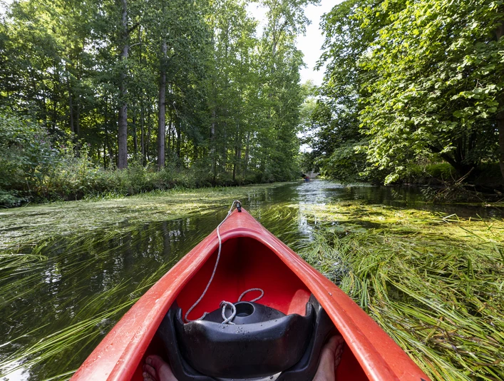 Kanufahren auf der Oker Man sieht ein Kanu auf dem Fluss Oker.