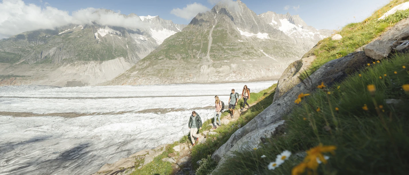Randonnée estivale sur les glaciers dans les Alpes valaisannes Randonnée guidée sur le glacier d'Aletsch avec un groupe de randonneurs le long de la glace devant un imposant décor de montagnes en été
