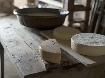 Production de fromage avec des meules fraîches Schaukäsen Alpmuseum Aletsch mit frisch gepressten Käselaiben auf Holzbrettern im Alpmuseum RiederalpShow cheeses at the Aletsch Alpine Museum with freshly pressed cheese wheels on wooden boards at the Riederalp Alpine MuseumFromage de démonstration du musée d'alpage d'Aletsch avec des meules de fromage fraîchement pressées sur des planches en bois au musée d'alpage de Riederalp