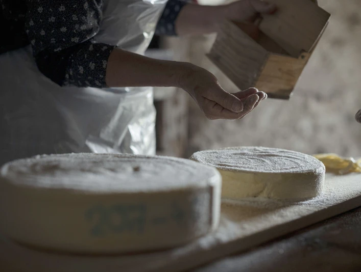 Salage du fromage au musée d'alpage de Riederalp Schaukäsen Alpmuseum Aletsch mit traditionellem Einsalzen der frischen Käselaibe von HandShow cheesemaking at the Aletsch Alpine Museum with traditional salting of the fresh cheese wheels by handFromage de démonstration au musée d'alpage d'Aletsch avec salage manuel traditionnel des meules de fromage fraîches