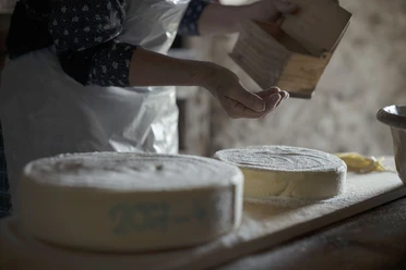 Show cheesemaking at the Aletsch Alpine Museum with traditional salting of the fresh cheese wheels by hand