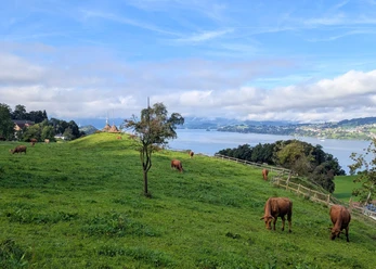Gisler Ranch