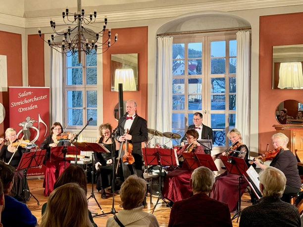 Salon-Streichorchester