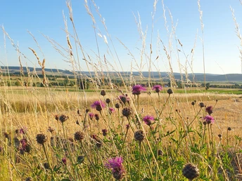 Panoramaweg, Ausblick, Amelsen Panoramaweg, Ausblick, Amelsen