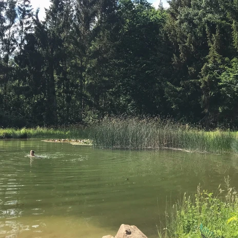 Wohnmobil- und Campingpark Ambergau