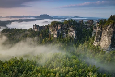 Rock formations rise out of a forest with mist, mountains in the background.