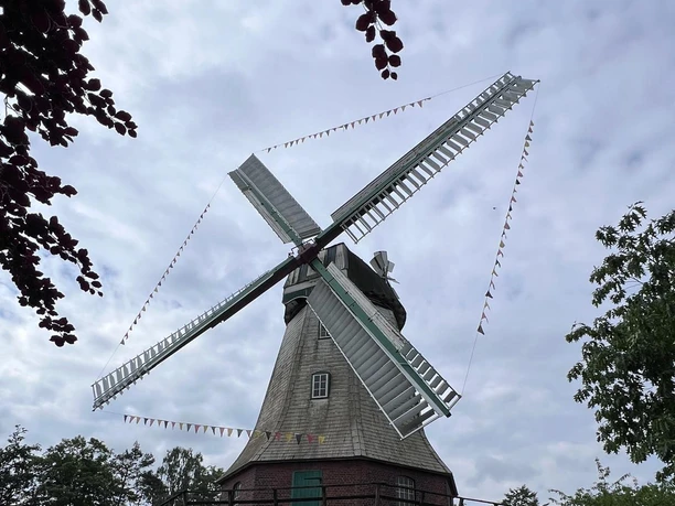 Artlenburger Windmühle©Windmühlenverein Artlenburg e.V..jpg Windmühle in Artlenburg