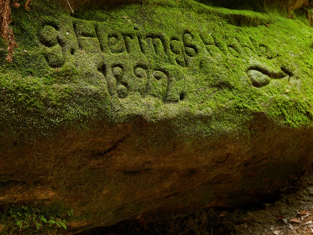 Teufelsgrund Wehlen Heringshöhle Moosbedeckter Felsen mit eingraviertem Text "Hehrings Höhle 1892" in einem Wald.