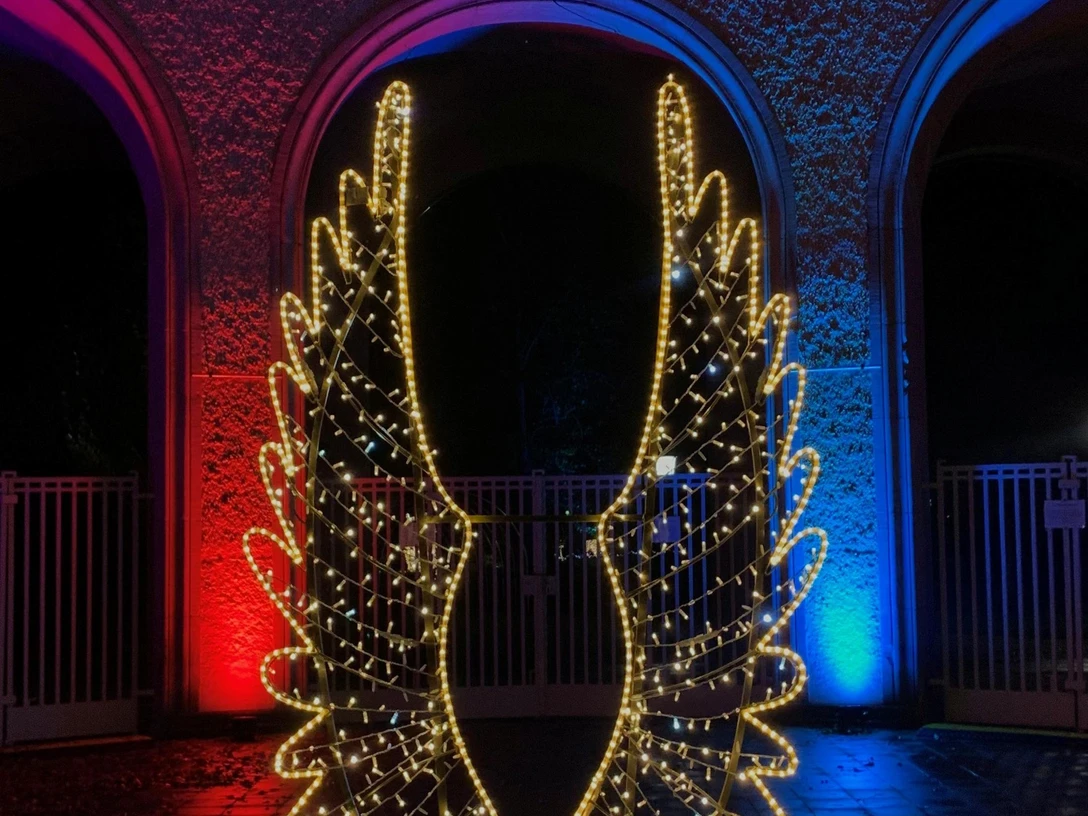 Lichterfest 2025_2026