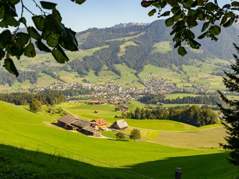 Feuerstelle Obstaldenegg in Schüpfheim