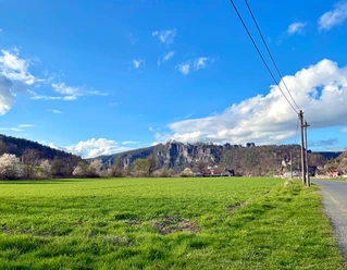 Blick vom Elberadweg zu den Basteifelsen oberhalb von Kurort Rathen
