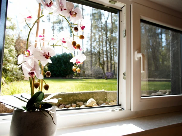 Ferienwohnung Waldidylle