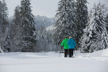 Schneeschuhwanderer im Buhlbachtal