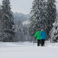 Schneeschuhwanderer im Buhlbachtal