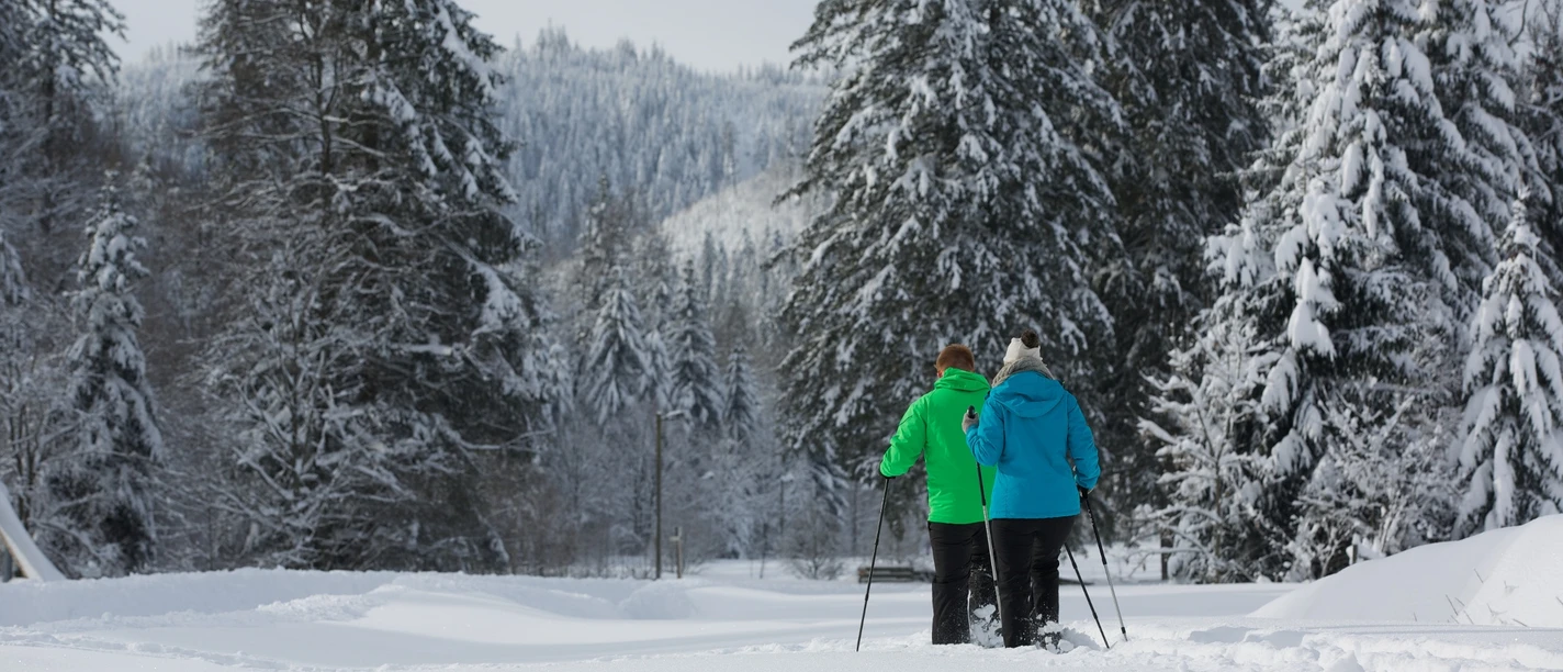 Schneeschuhwanderer im Buhlbachtal