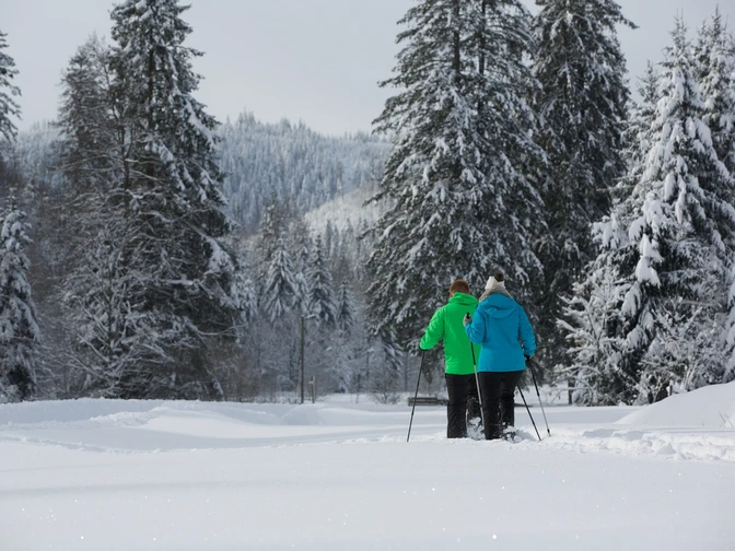 Schneeschuhwanderer im Buhlbachtal