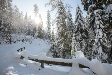 Winterlandschaft