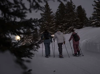 Randonnée nocturne vers la fondue à la pleine lune Fondue de pleine lune Bättmerhitta dans l'Aletsch Arena avec randonnée nocturne en raquettes à travers la forêt hivernale enneigée