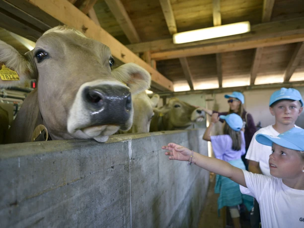 Visite de la ferme au programme Gletschi Programme Gletschi Aletsch Arena avec des enfants lors de la visite d'une étable à Bettmeralp, en Valais, pendant le programme d'été