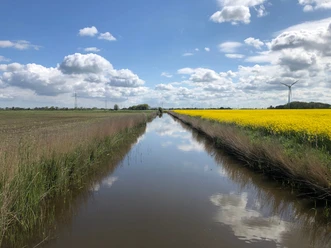 Rapsfeld am Kanal in (Hage)