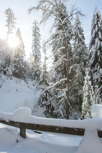 Winterlandschaft im Baiersbronn