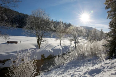 Das Buhlbachtal im Winter