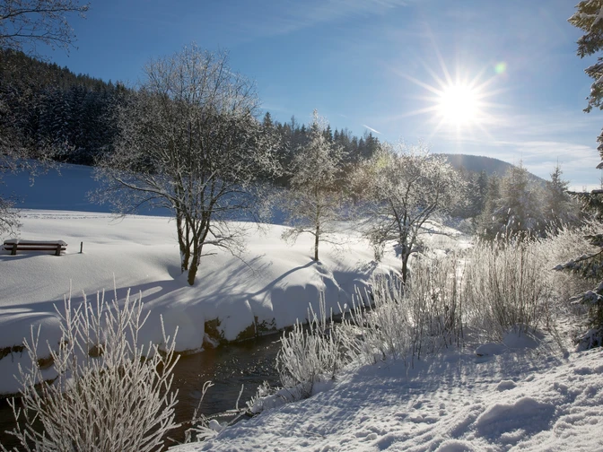 Das Buhlbachtal im Winter