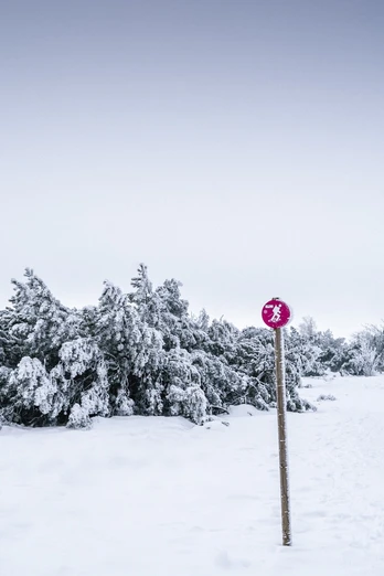 Schneeschuhtour vom Ruhestein zum Schliffkopf