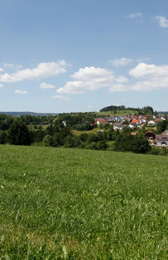 Blick auf Grüntal mit Viadukt
