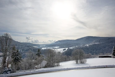 Winter im Murgtal