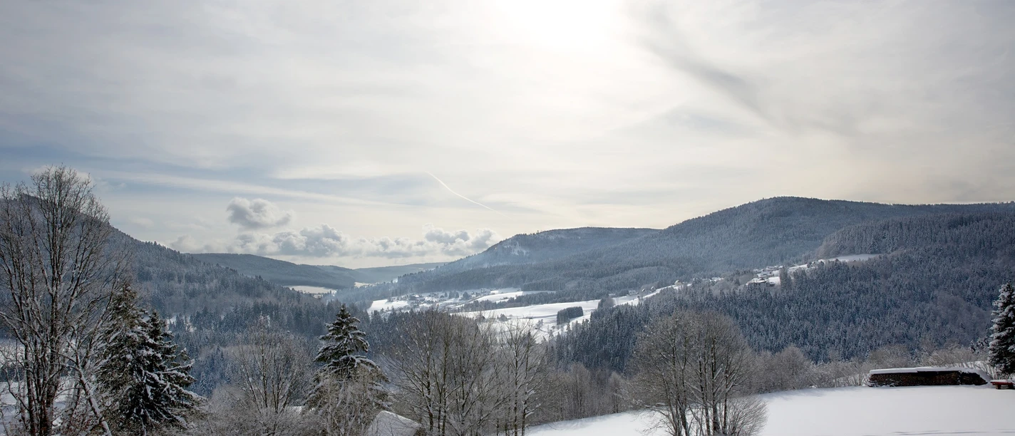 Winter im Murgtal