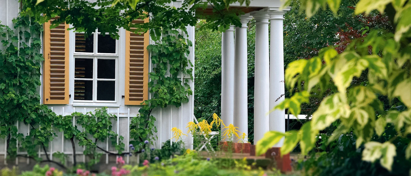 göschen14.jpg Grüner Garten mit weißem Holzhaus und Säulen, umgeben von üppigem Blattwerk.