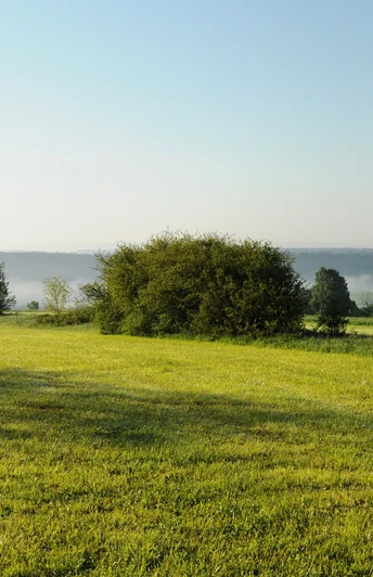 Aussicht vom Panoramaweg in Richtung Schwäbische Alb