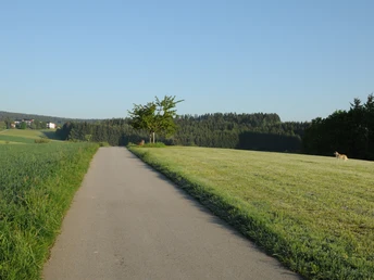 Blick über die Wiesen Richtung Sulzbach