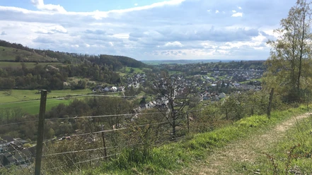 Blick über Dahlhausen